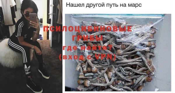 а пвп мука Алзамай